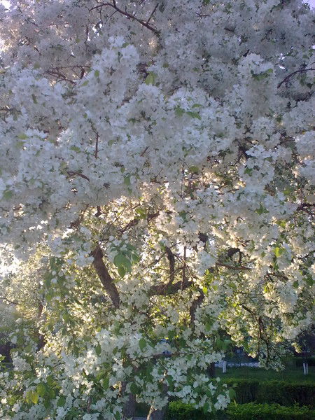 Динара Мусина