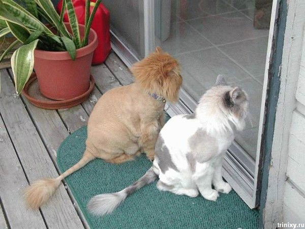 Татьяна Пригожавеа