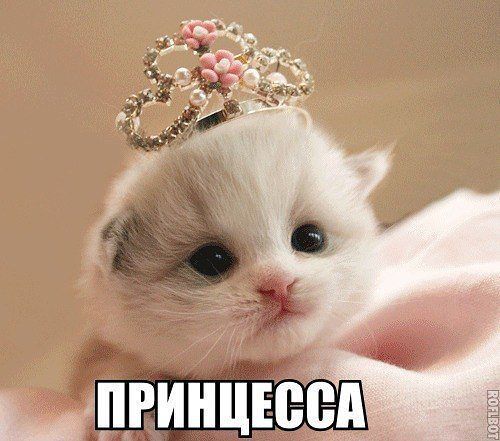 Наталья Григорченко