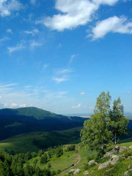 Альбина Альбина