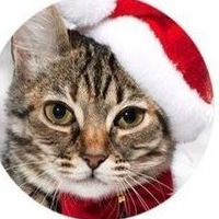 Андрей Федосов