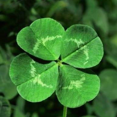 Александр Харитонов