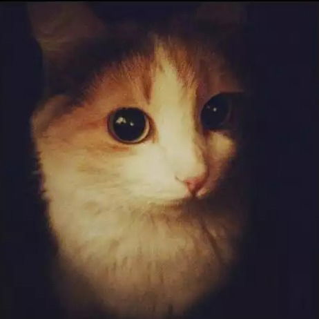 Юлия Александровна