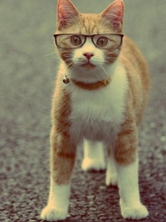 Юлия Бугаёва