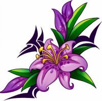 Гульнара Шакенова