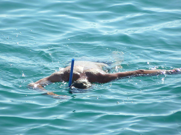 Алексей Шестаков