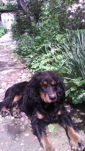 Михаил Конов