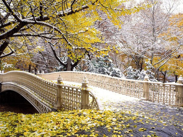 Светлана Вк