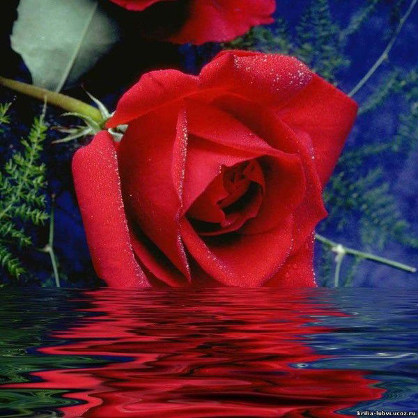 Валентина Бикетова