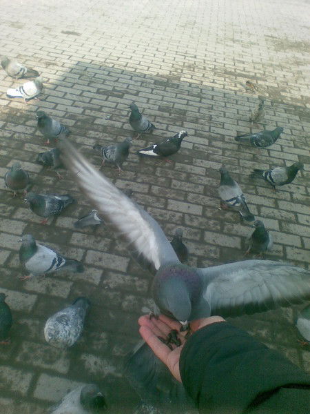 Мерген Байгабулов