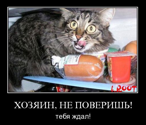 Ванька Никифоров