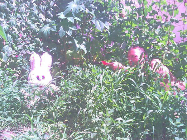 Алексей Мусурел