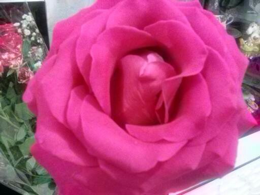 Елена Александровна Гурьянова