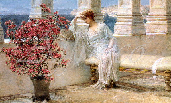 Ирина Залуцкая