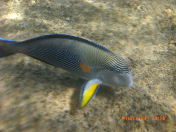 Наталья Хмарун