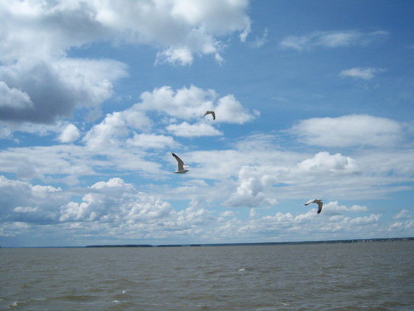 Оксана Левенец