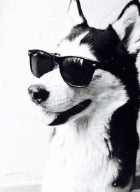 Павел Шараметов