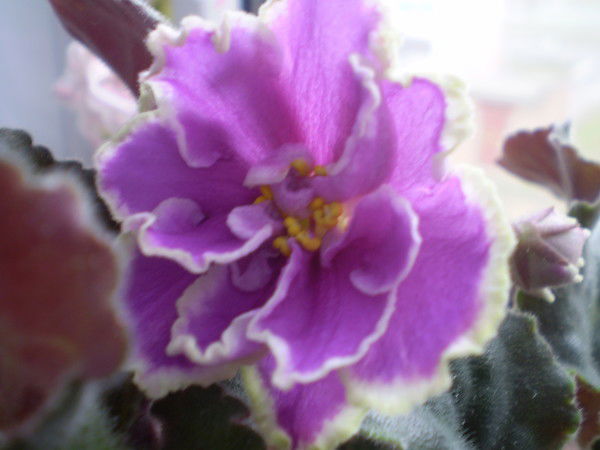 Оксана Клименко