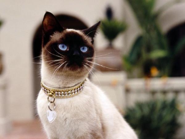 Лариса Александрова