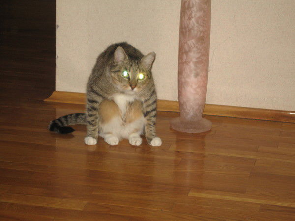 Алексей Страхов