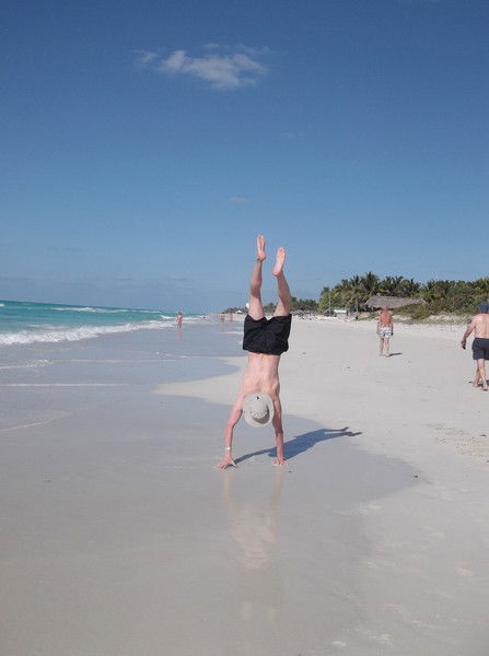 Александр Тришин