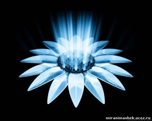 Айгуль Жапабаева