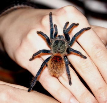 Вадим Кондратенко