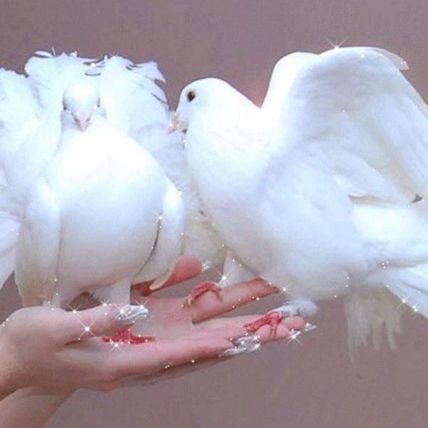 Татьяна Лакатош