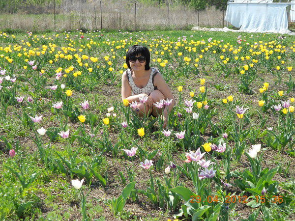 Елена Бесараб