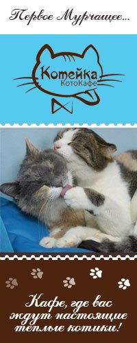 Котейка Котокафе
