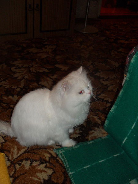 Сидр Иванов