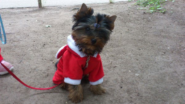 Евгений Радько