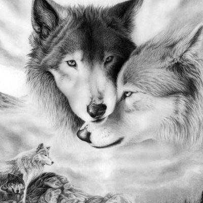 Даниил Шнайдер