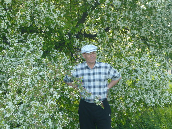 Владимир Васильев