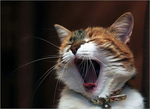 Сергей Чувырин