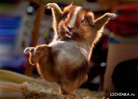 Шафранский Олег