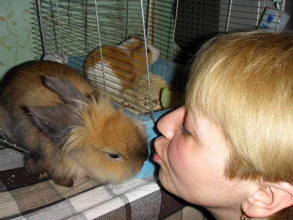 Елена Тримайло