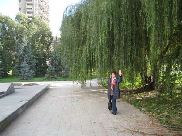 Ивлюив Виюлви