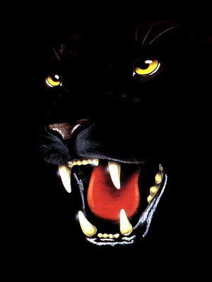 Марина Имаева