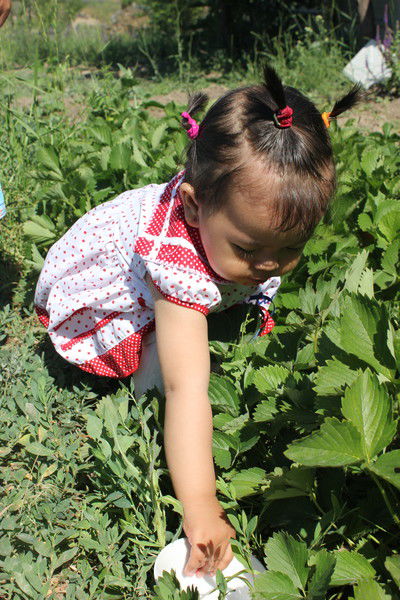 Анар Тункаева