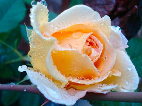 Александр Б