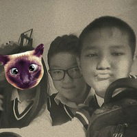 Алина Лигай