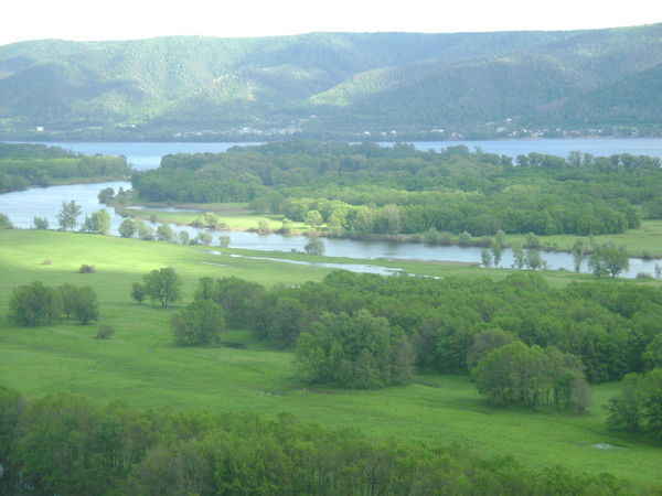 Светлана Гришанова