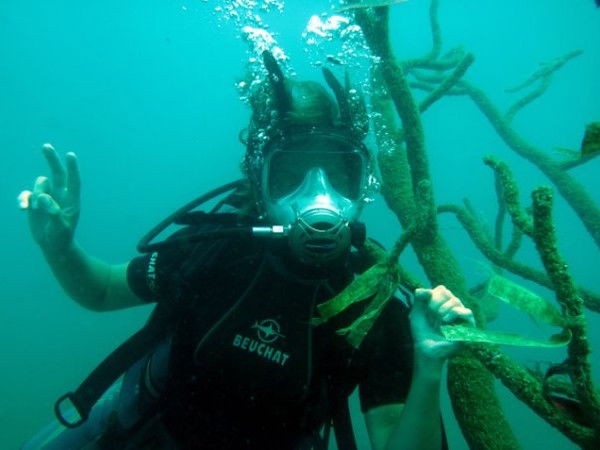 Анна Терешкина