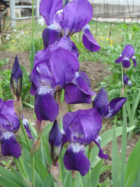 Татьяна Скляренко