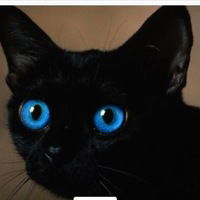 Александра Нечипуренко