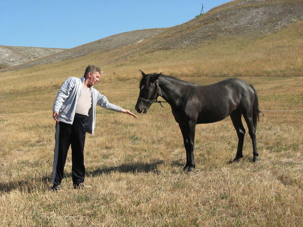 Андрей Сазанов