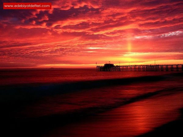 Лера Гостева