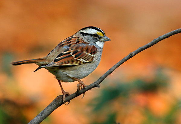 Динара Тулеуова