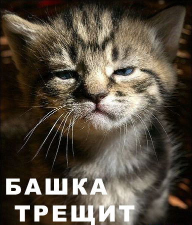 Ирина Усикова